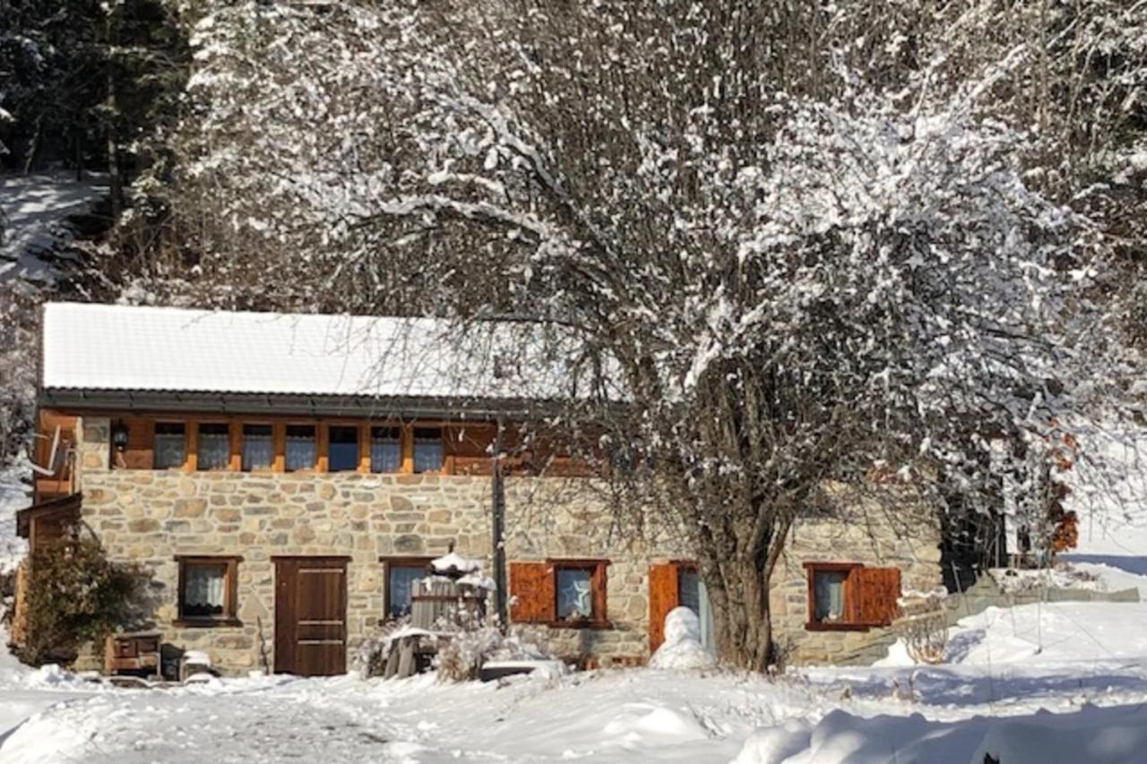 אנזיר A L'Oree Du Bisse מראה חיצוני תמונה